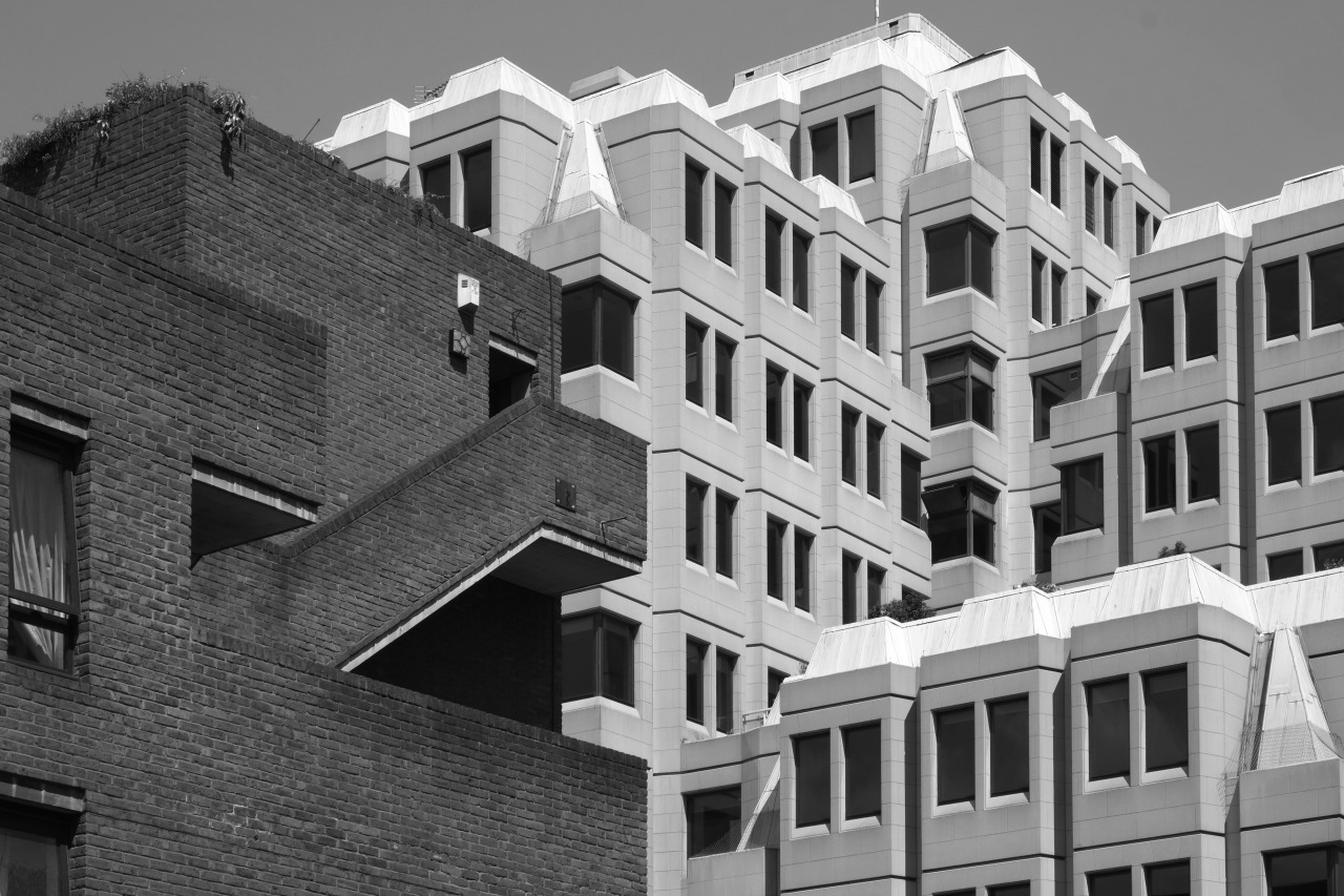 Archillect ID 372104