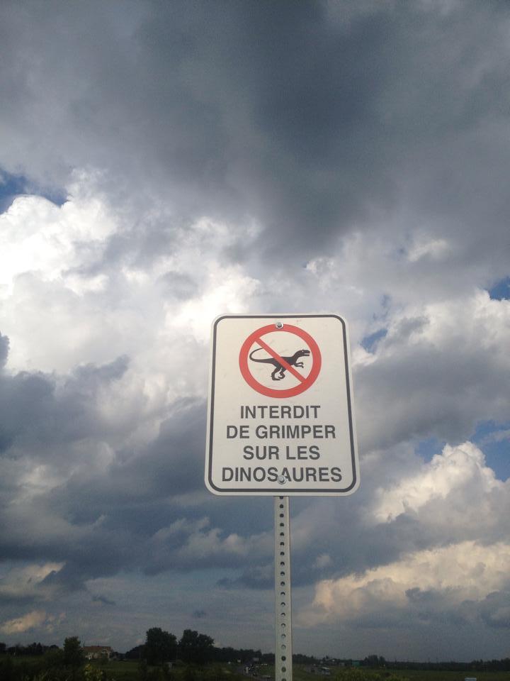 Archillect ID 372110