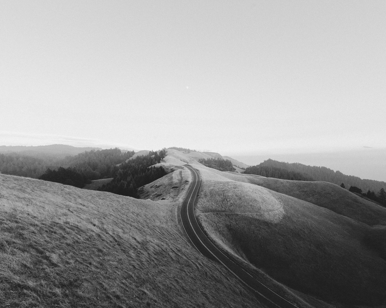 Archillect ID 372131