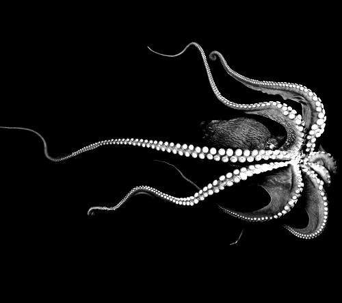 Archillect ID 372143