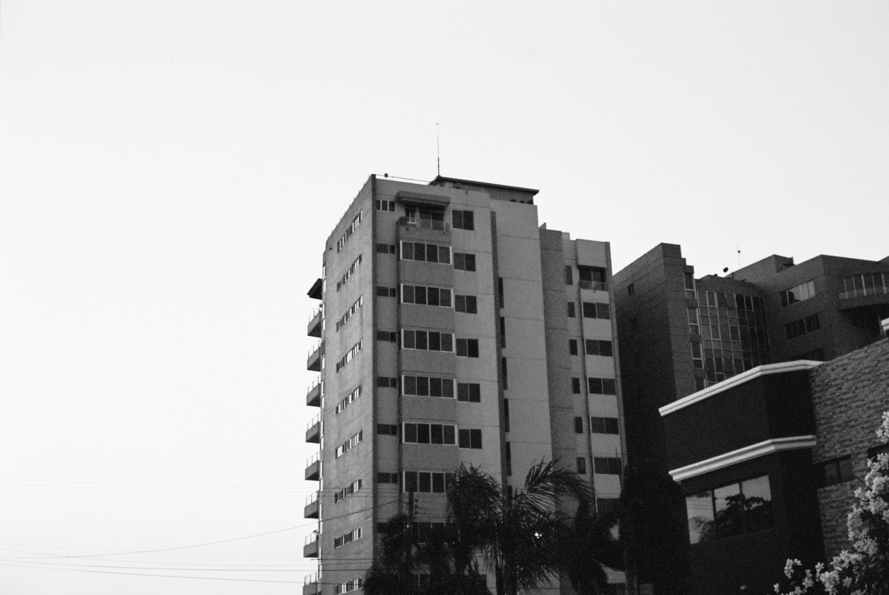 Archillect ID 372154