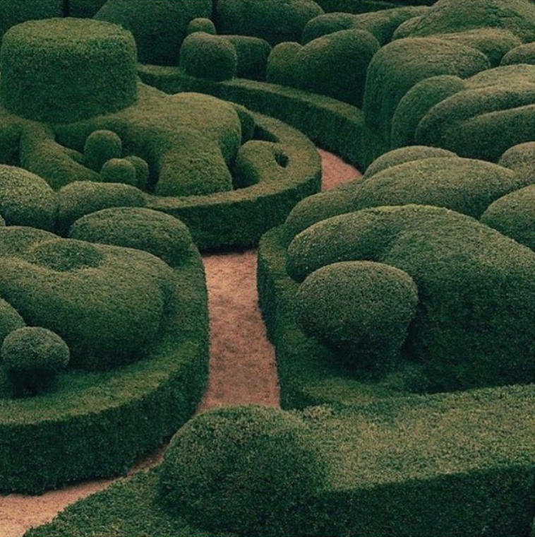 Archillect ID 372162