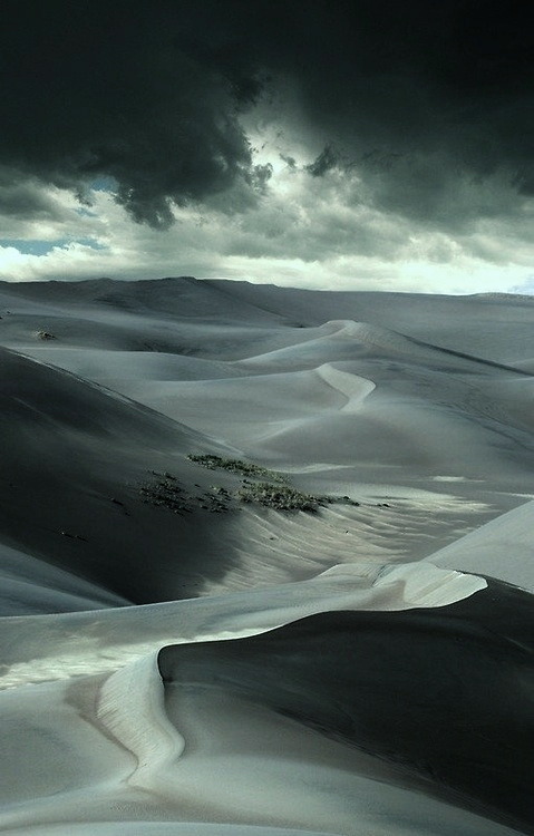 Archillect ID 372174