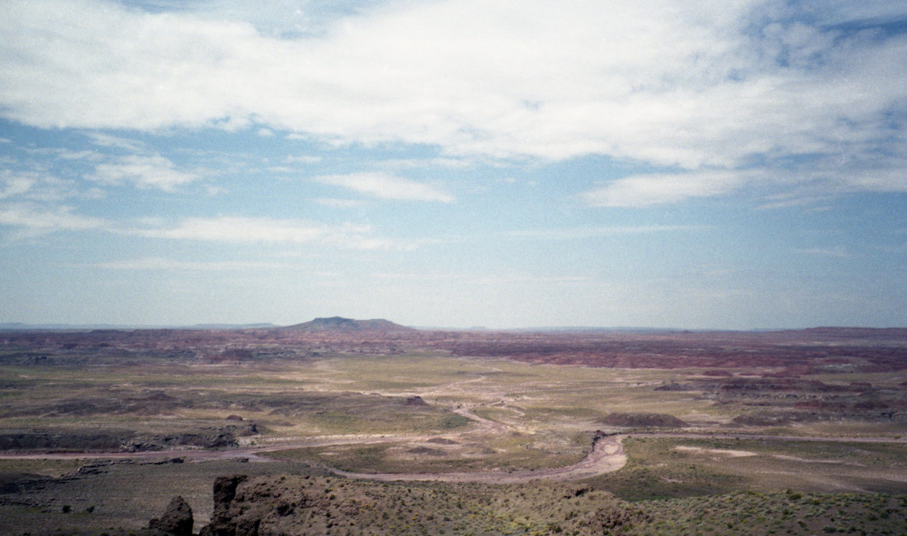 Archillect ID 372182