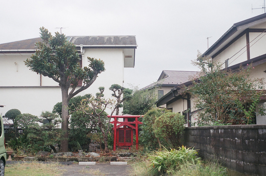 Archillect ID 372183