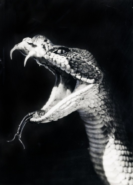 Archillect ID 372197