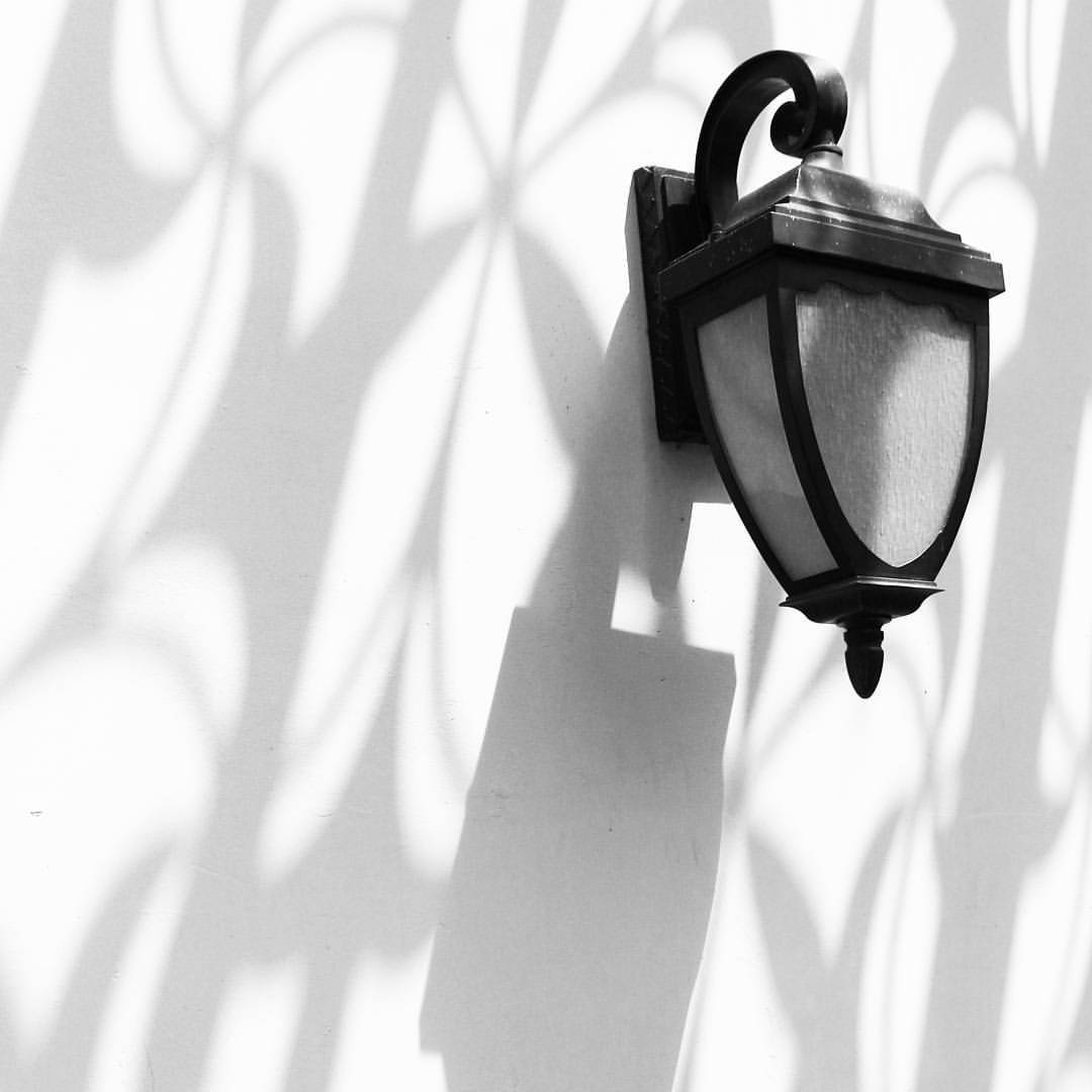 Archillect ID 372203