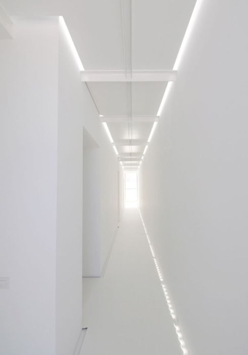 Archillect ID 372222