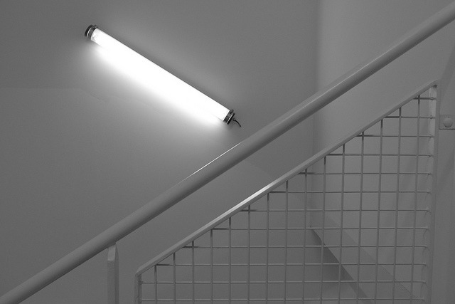 Archillect ID 372224