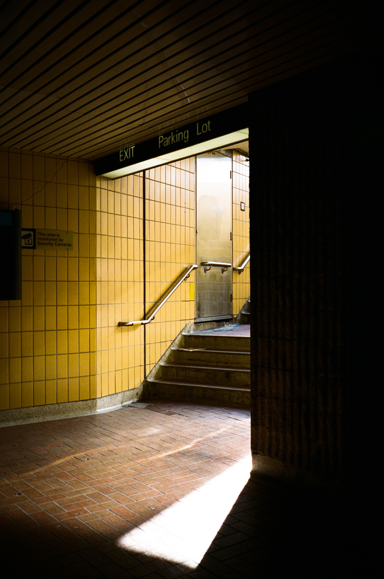 Archillect ID 372231