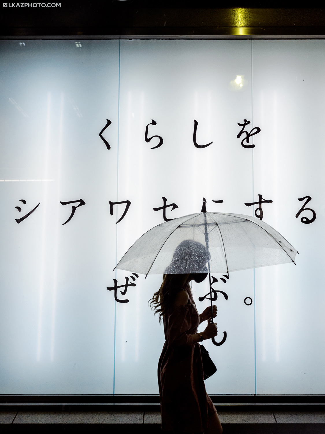 Archillect ID 372244