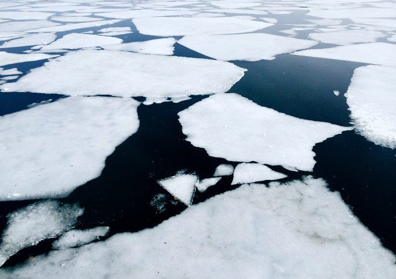 Archillect ID 372258