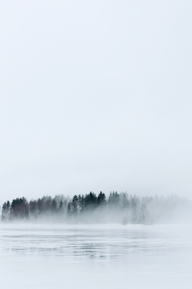 Archillect ID 372269