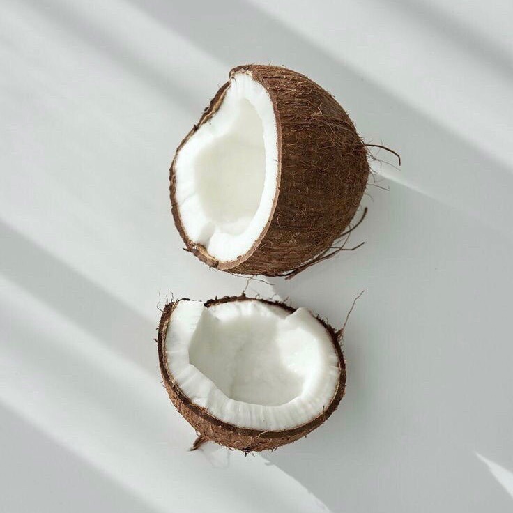 Archillect ID 372325