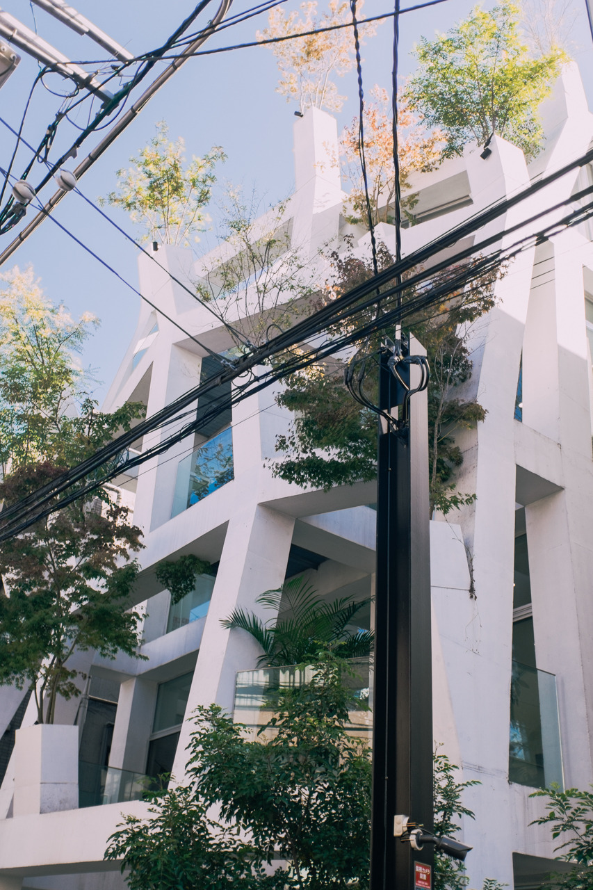 Archillect ID 372376