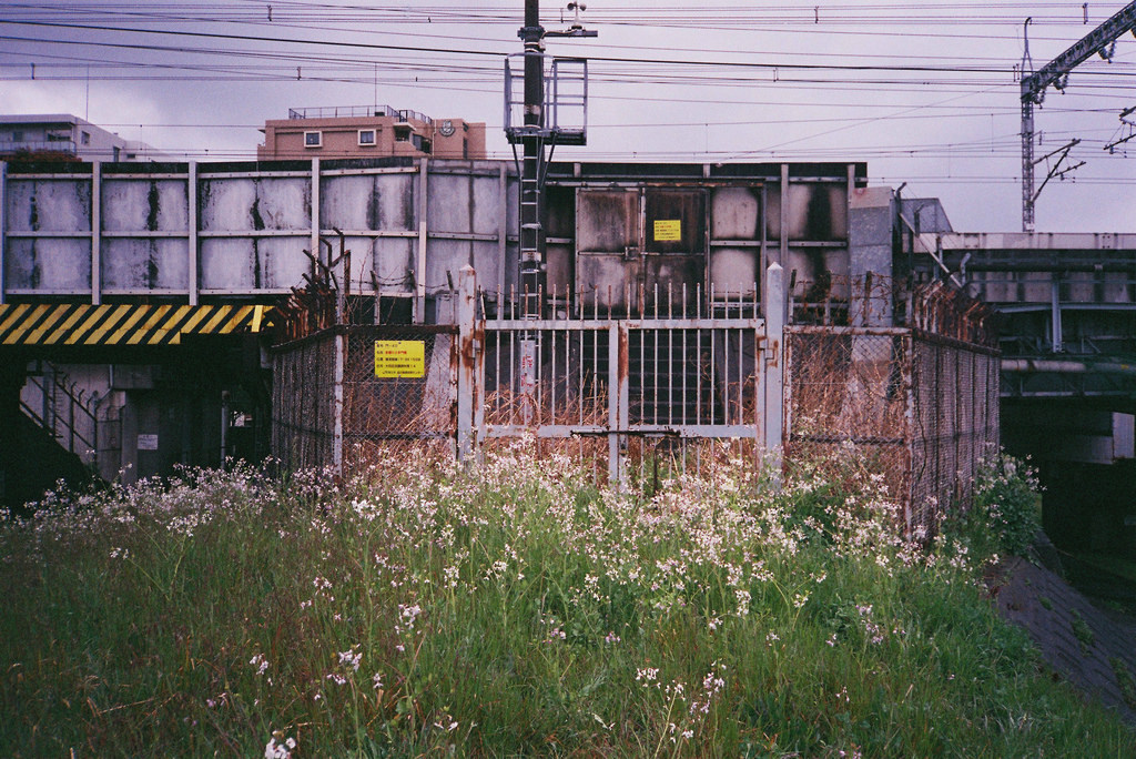 Archillect ID 372395