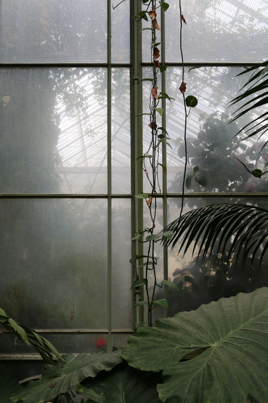 Archillect ID 372397