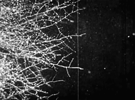 Archillect ID 372404