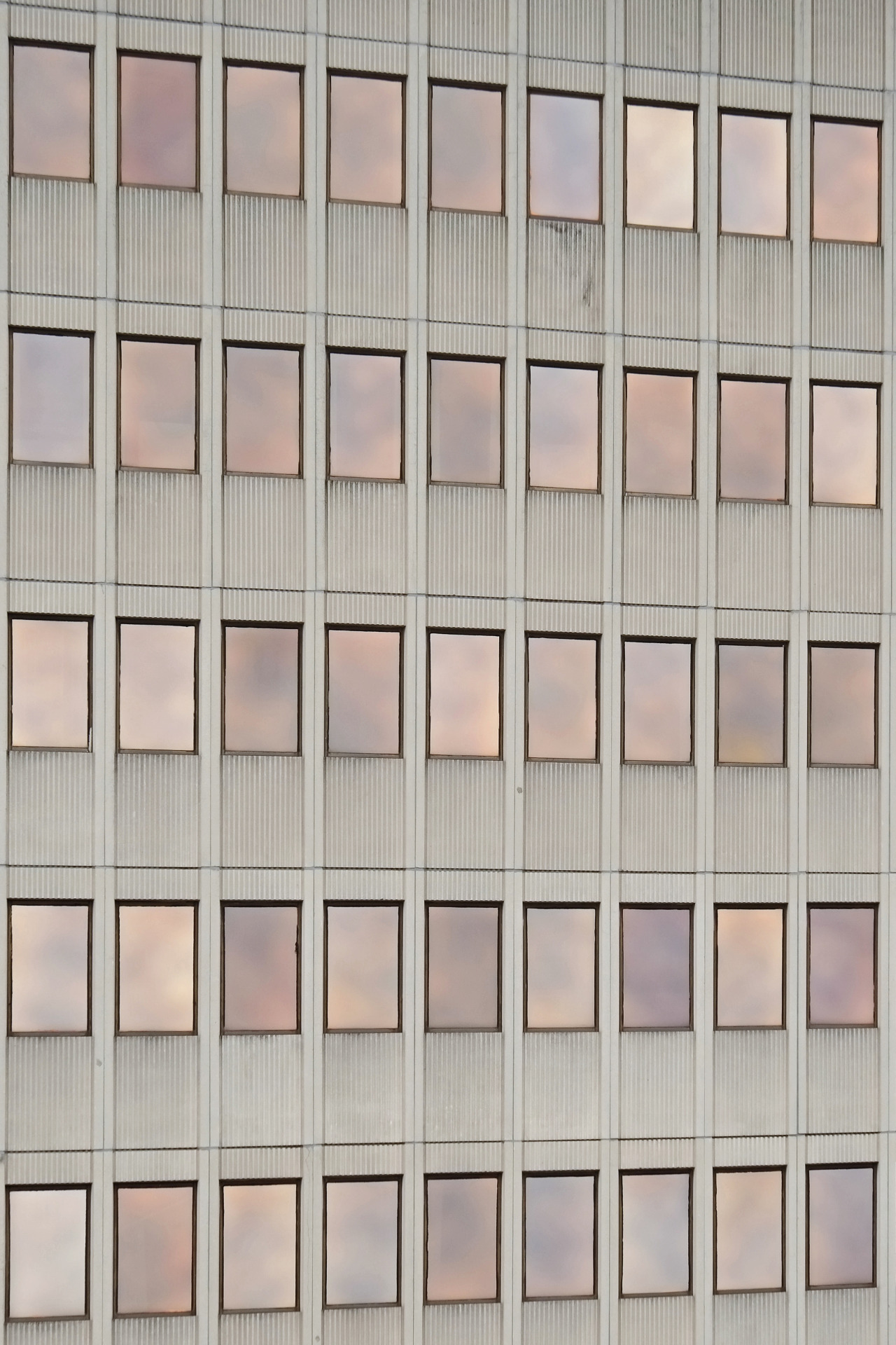 Archillect ID 372411