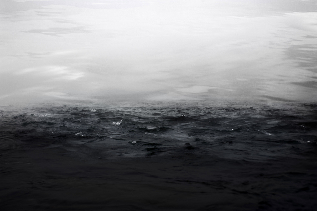 Archillect ID 372447