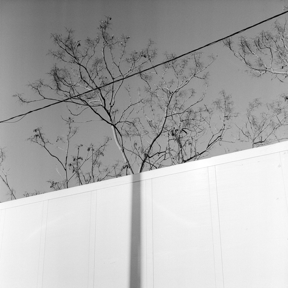 Archillect ID 372454