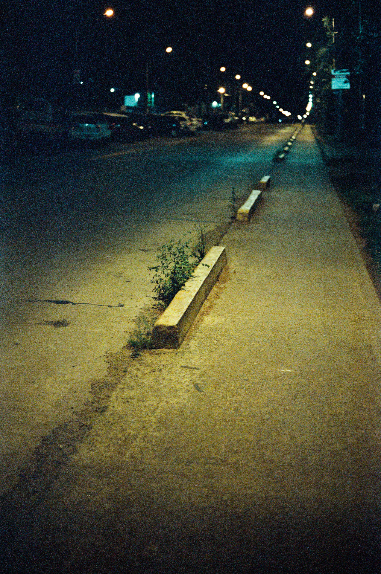 Archillect ID 372455