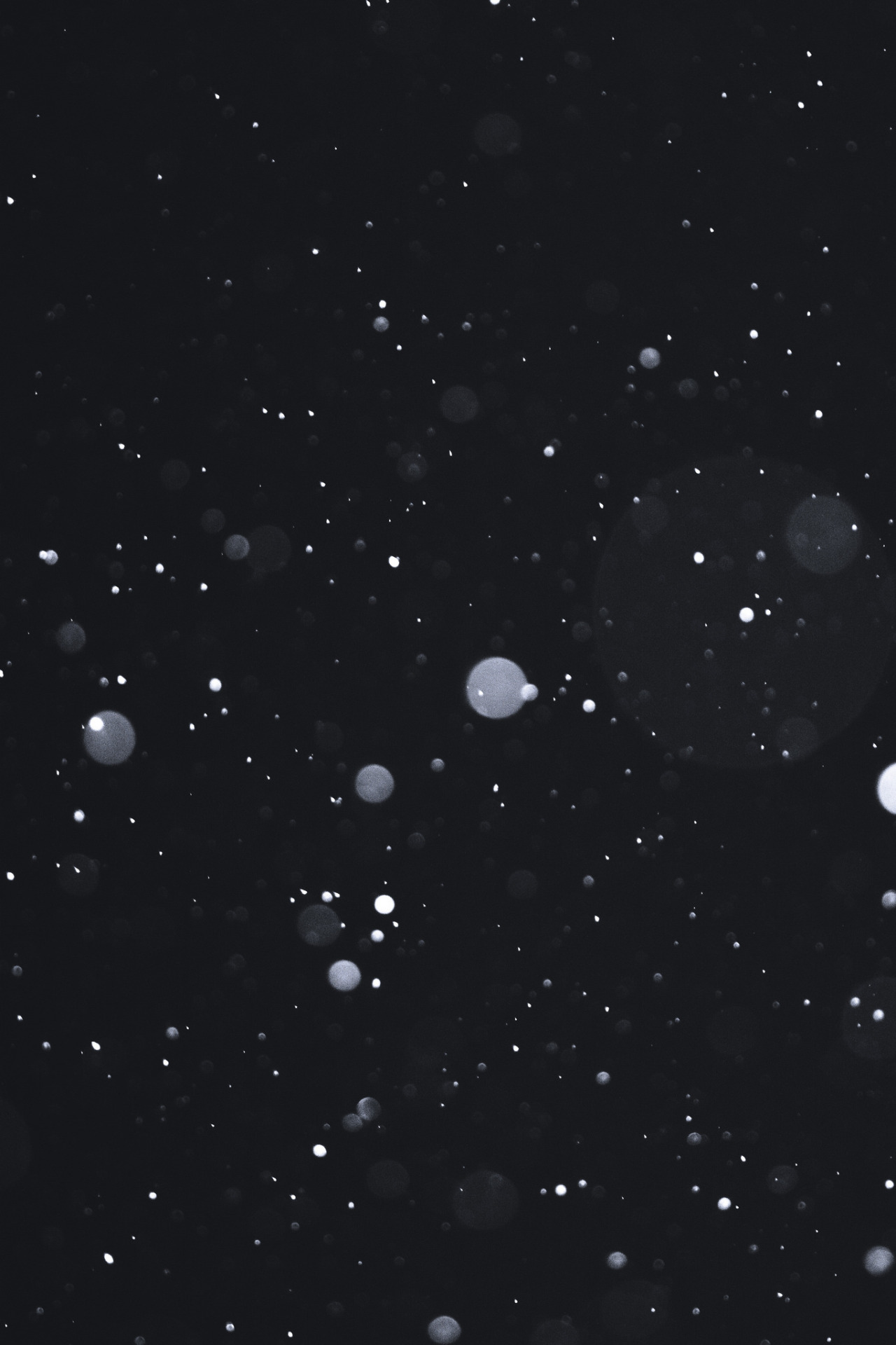 Archillect ID 372457