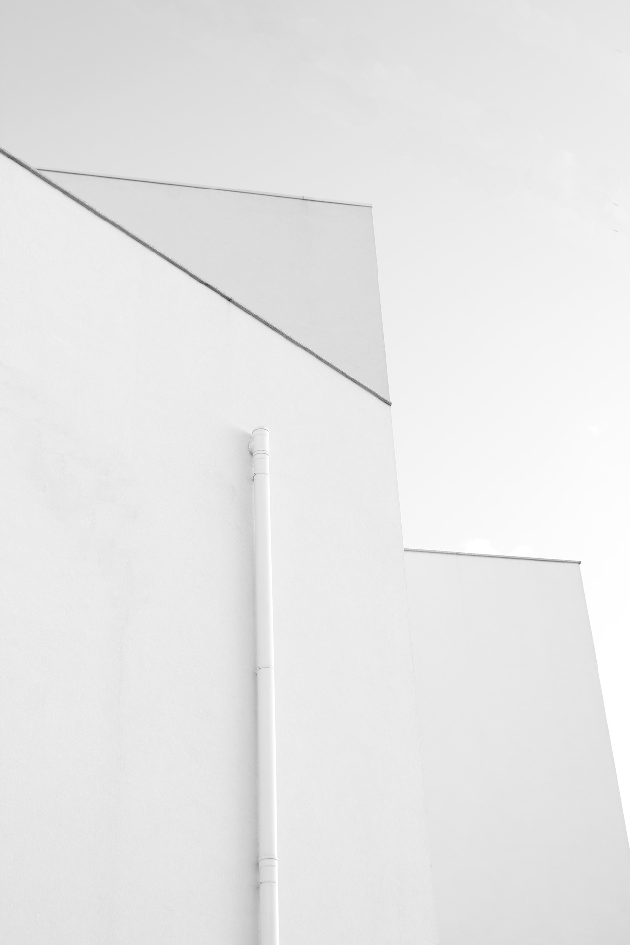 Archillect ID 372492