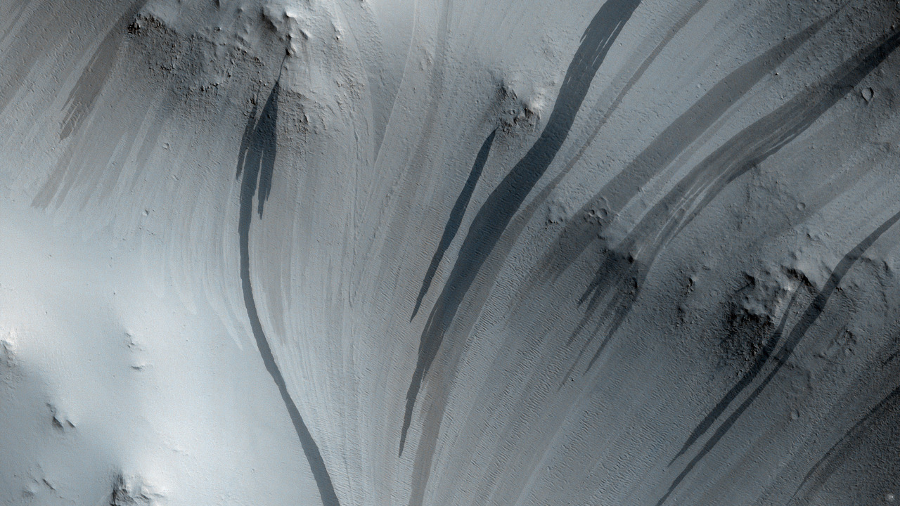 Archillect ID 372498