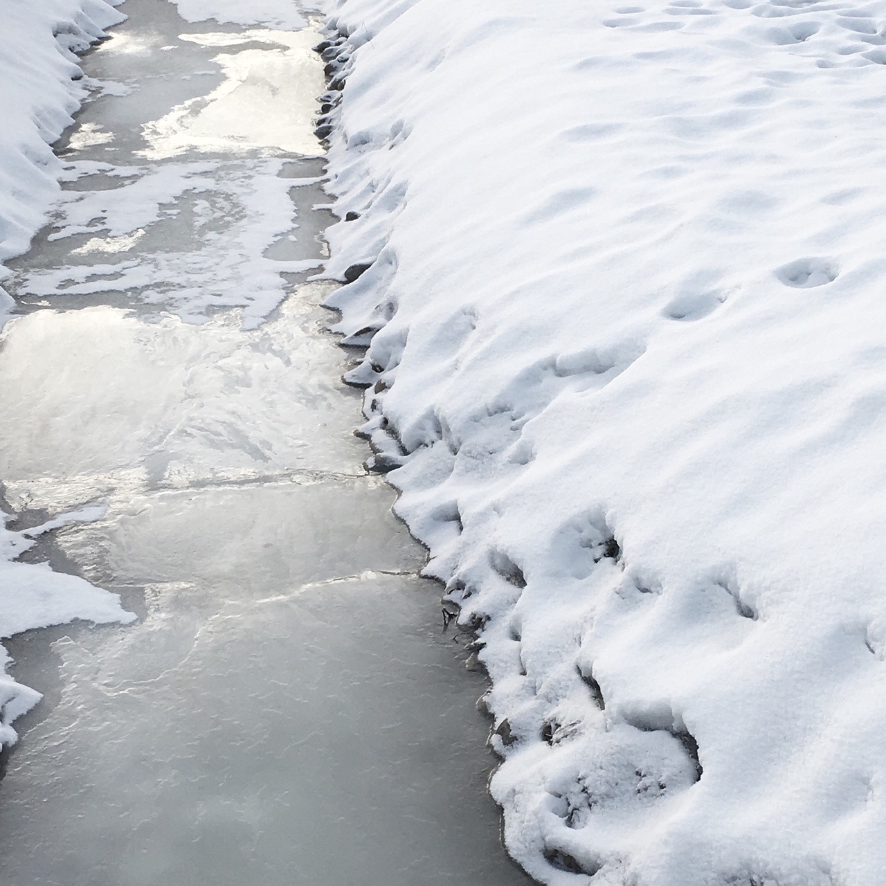 Archillect ID 372513