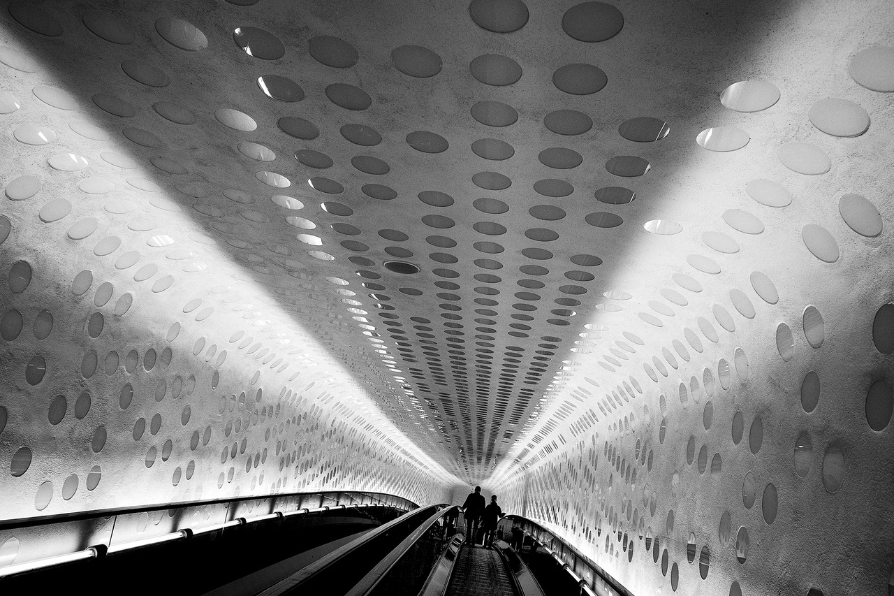 Archillect ID 372522