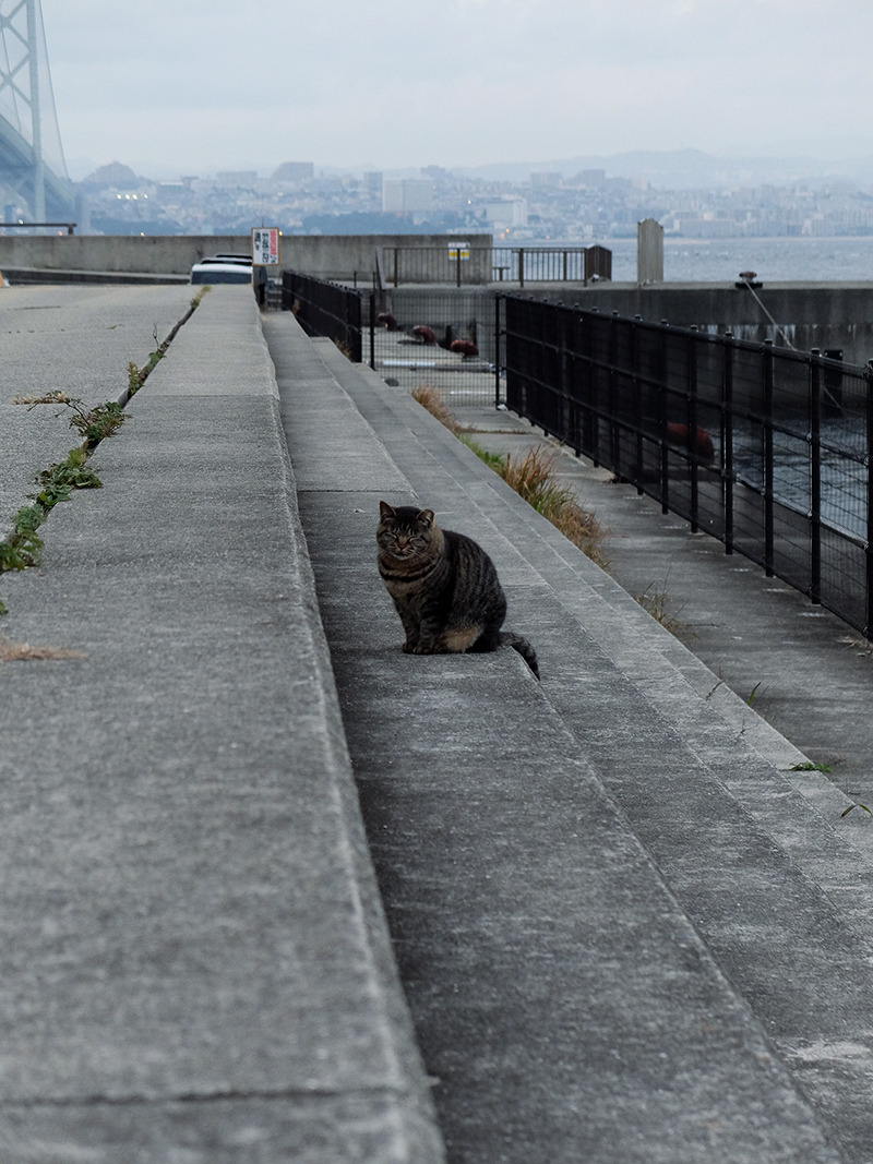 Archillect ID 372580