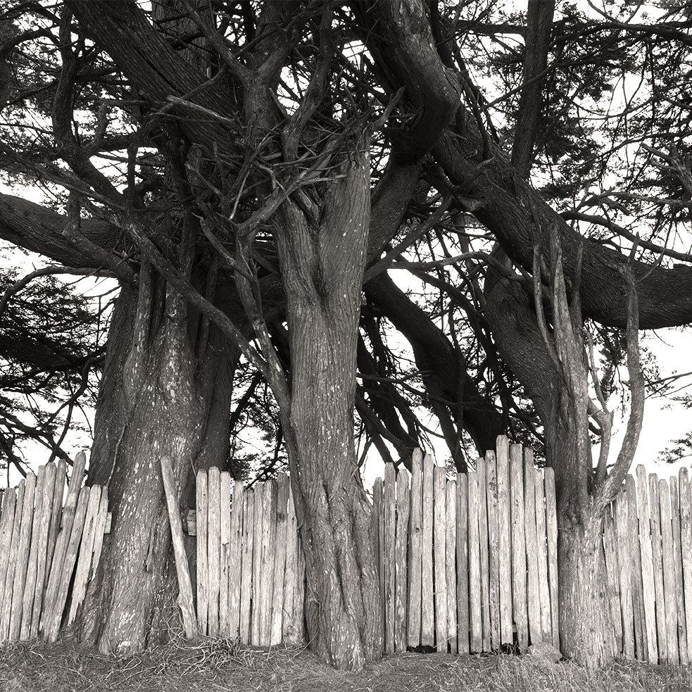 Archillect ID 372589