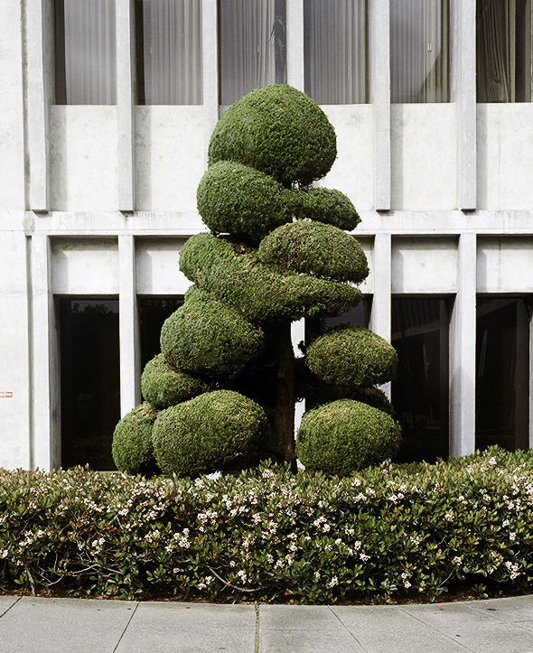 Archillect ID 372597