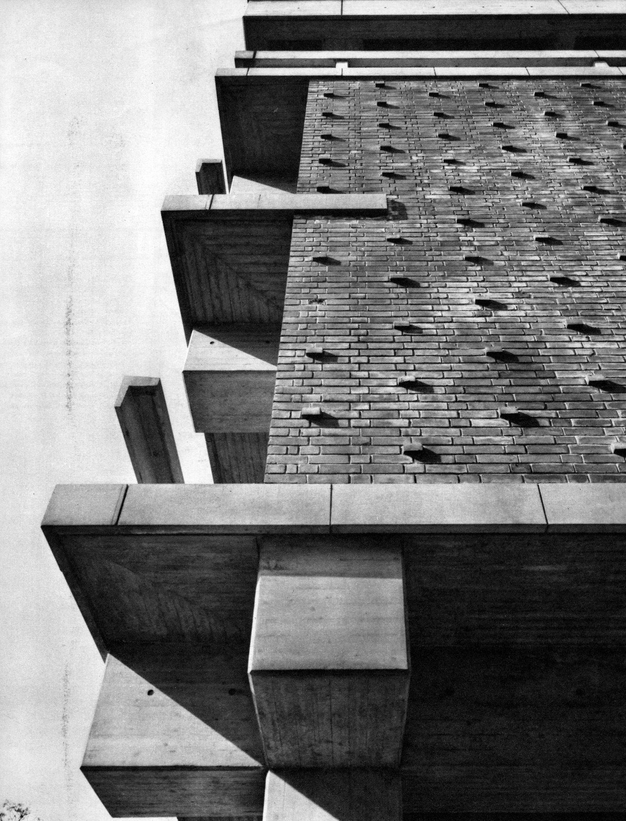 Archillect ID 372601