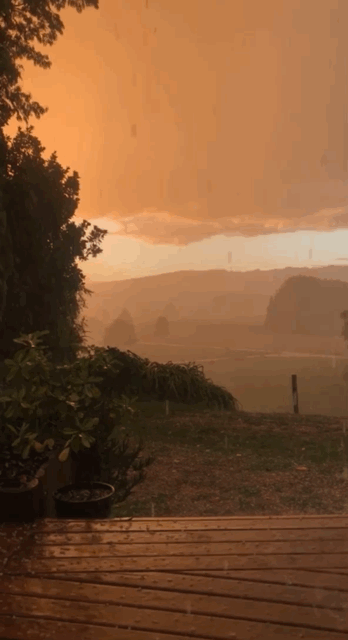 Archillect ID 372606