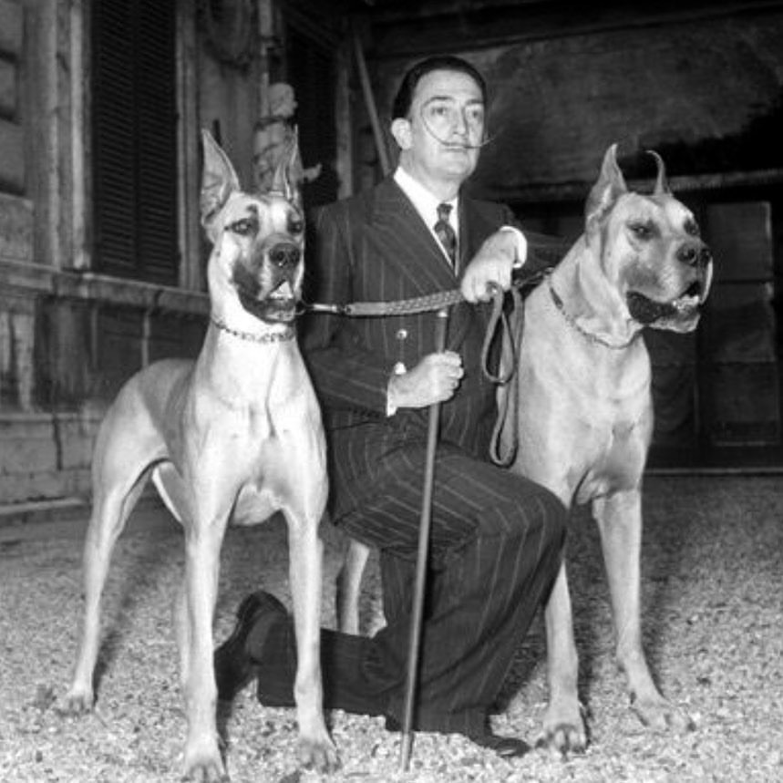 Archillect ID 372607