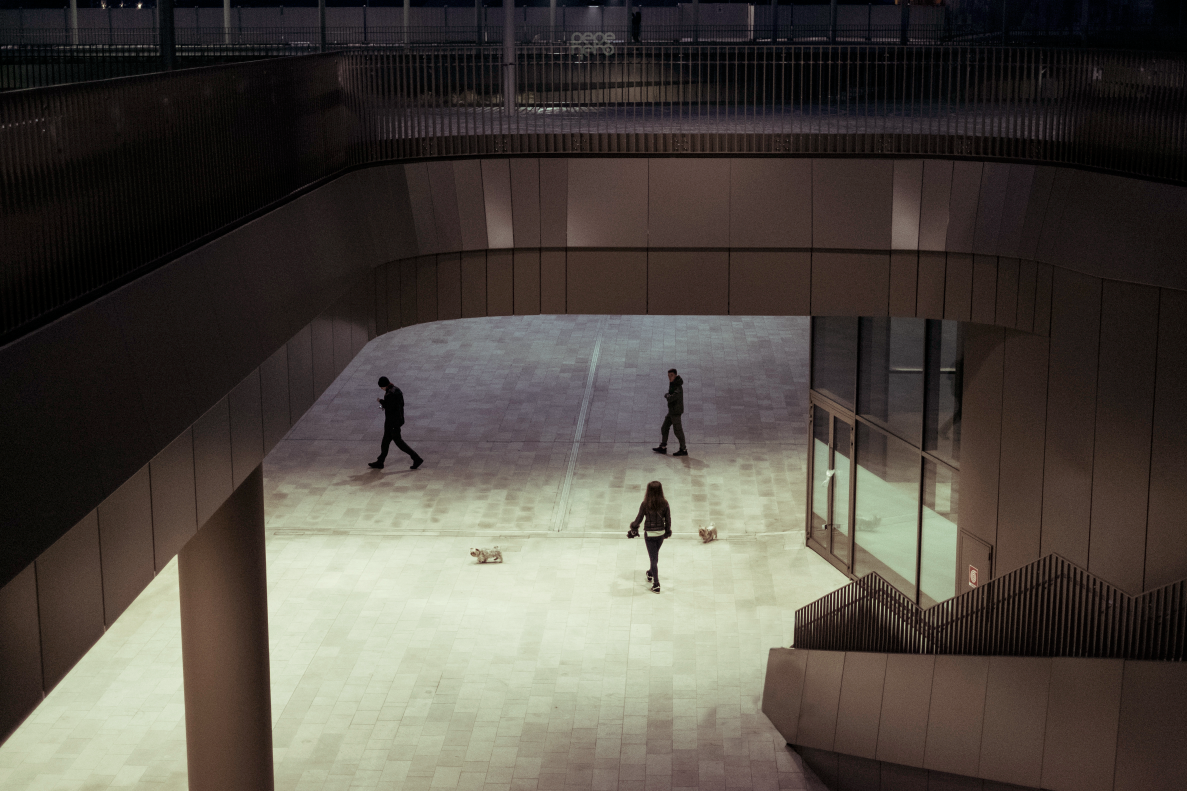 Archillect ID 372608