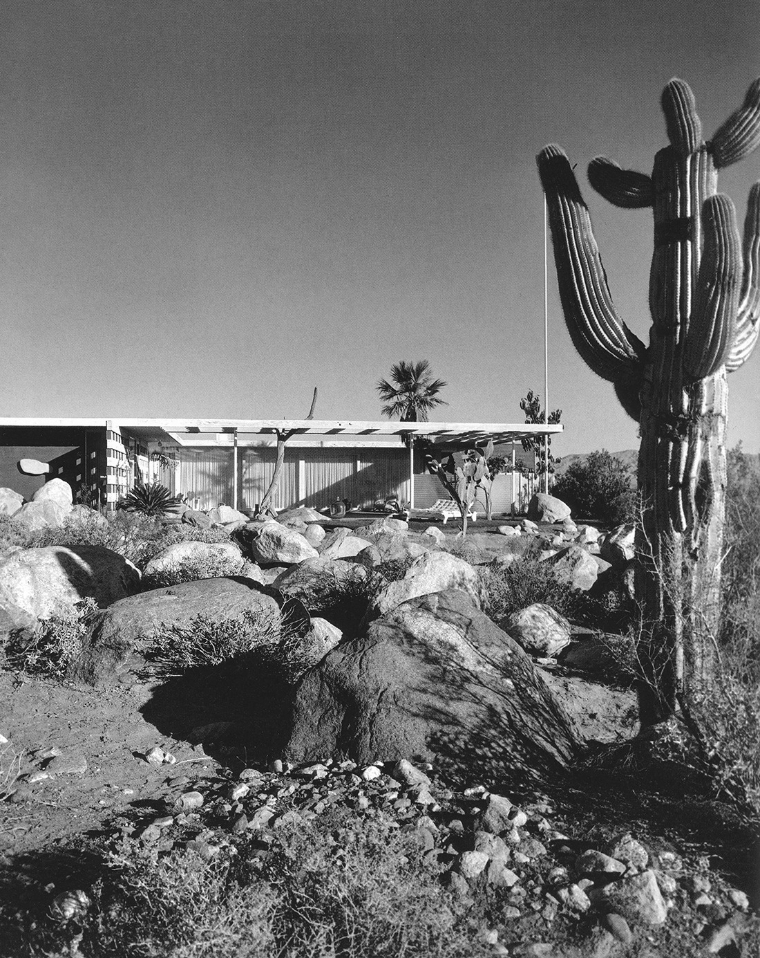 Archillect ID 372618