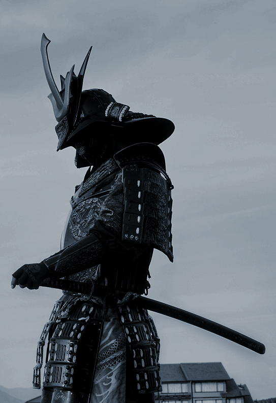 Archillect ID 372634