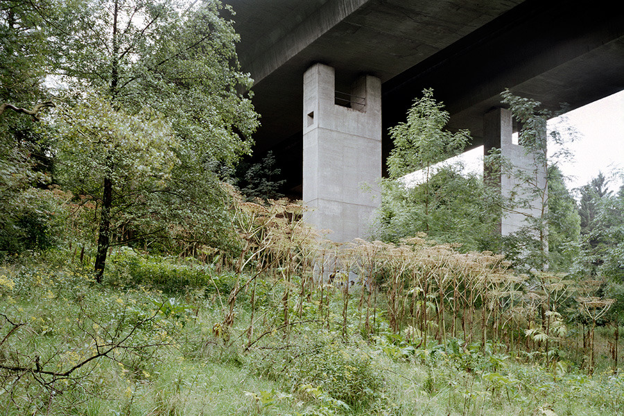 Archillect ID 372649