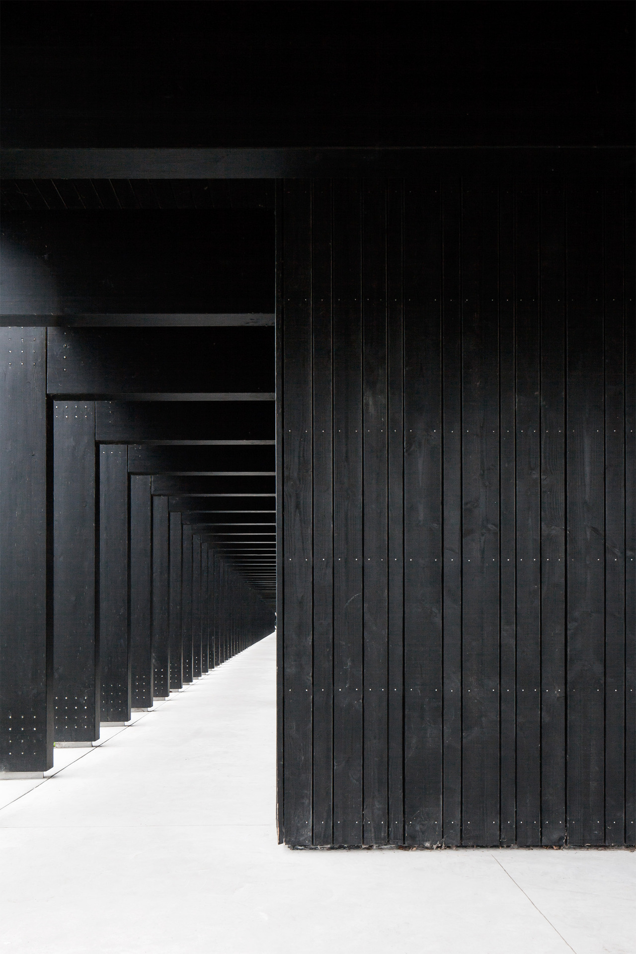 Archillect ID 372651