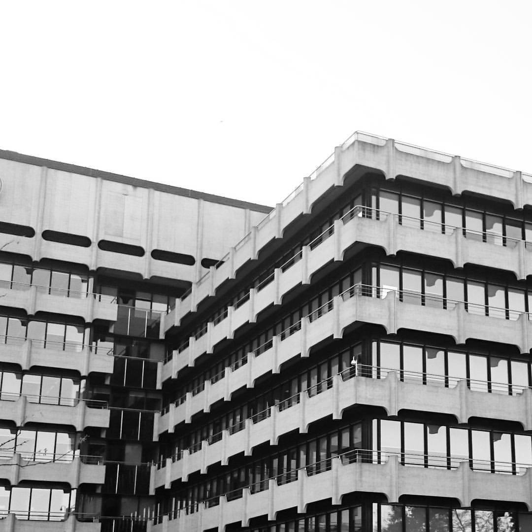 Archillect ID 372654