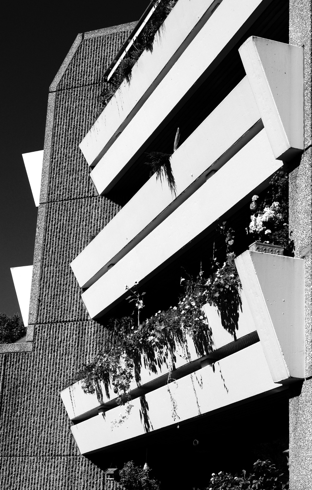 Archillect ID 372664