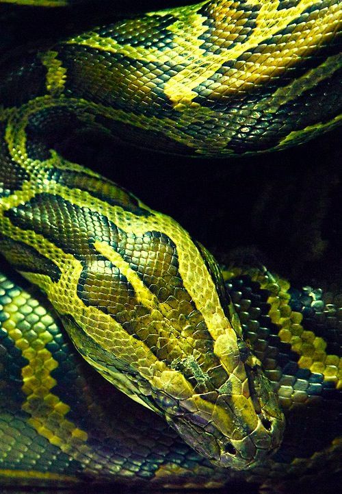 Archillect ID 372684