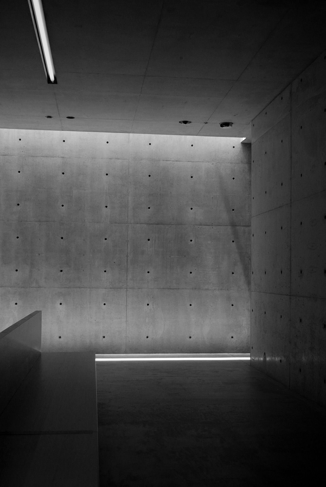 Archillect ID 372696