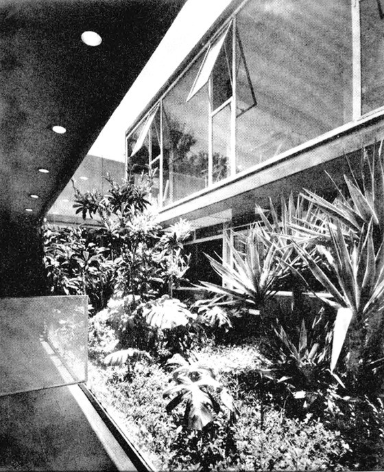 Archillect ID 372707