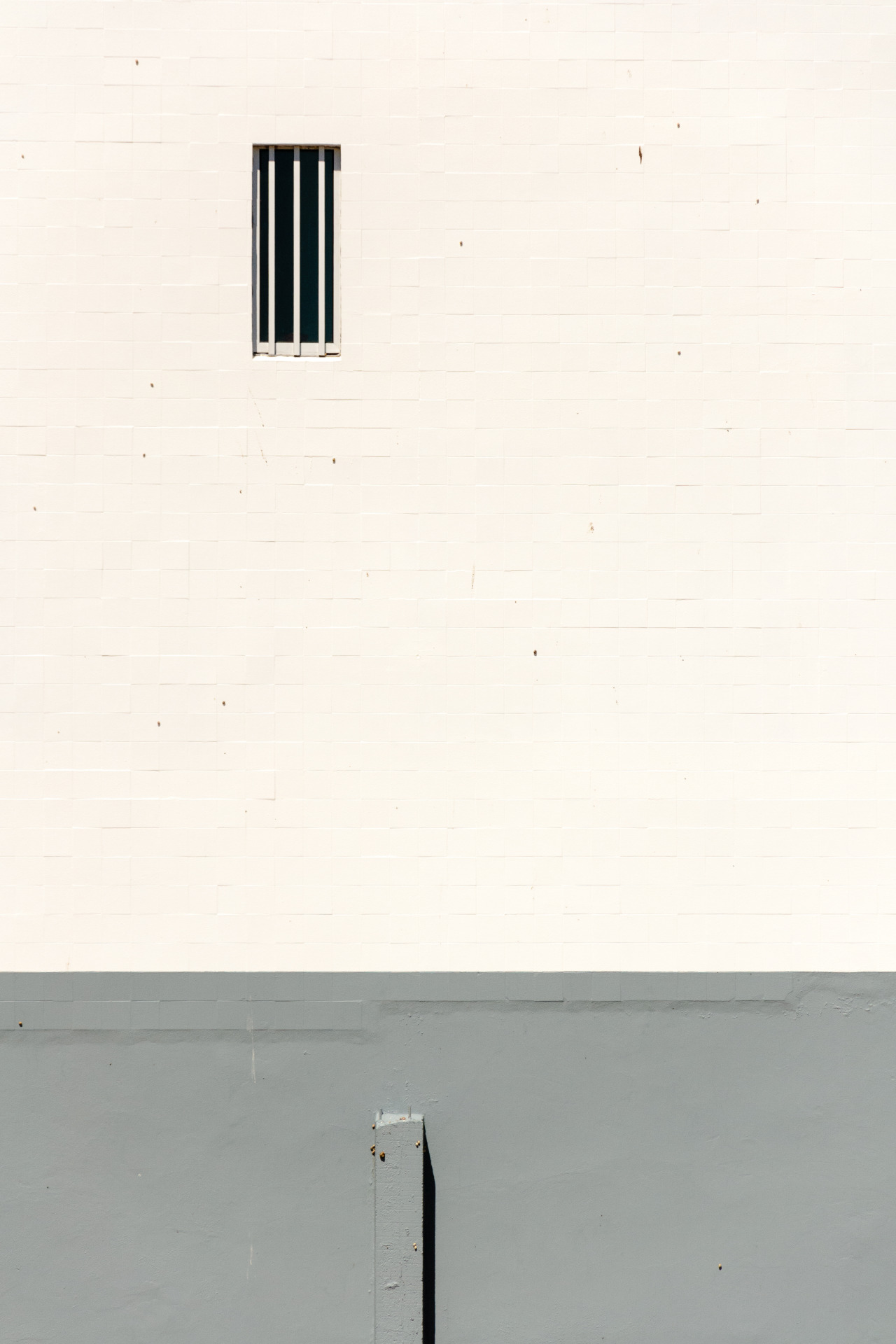 Archillect ID 372729