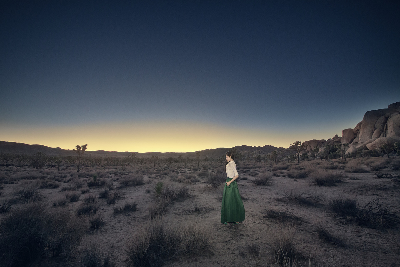 Archillect ID 372750