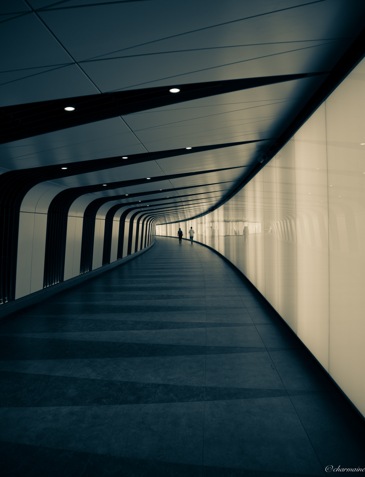 Archillect ID 372767